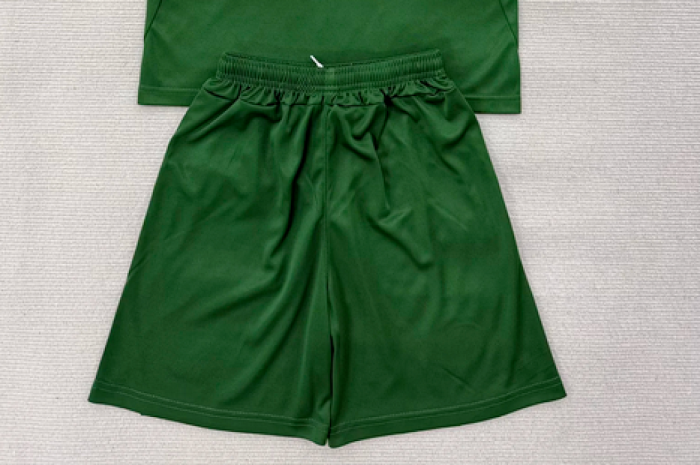 Fan Version 2026 Ireland Home Soccer Shorts Football Shorts
