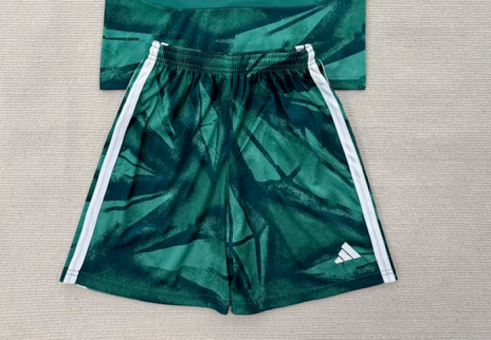 Fan Version 2026 Germany Green Goalkeeper Soccer Shorts Football Shorts
