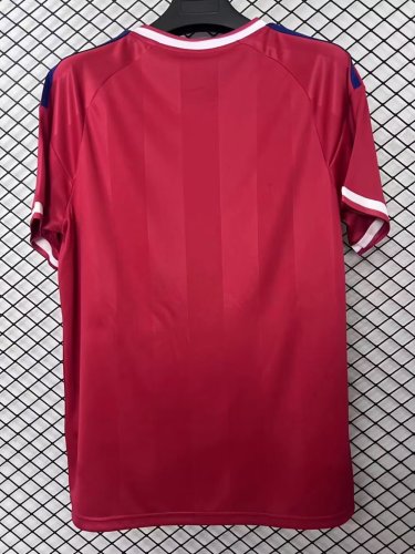 Fan Version 2026-2027 Lyon Away Red Soccer Jersey Olympique Lyonnais Football Shirt