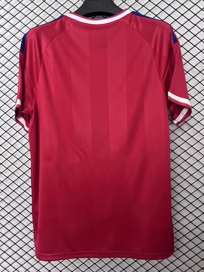 Fan Version 2026-2027 Lyon Away Red Soccer Jersey Olympique Lyonnais Football Shirt