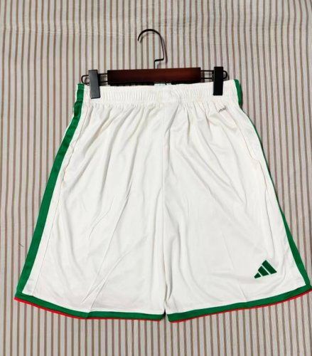 Fan Version 2026 Algeria Home Soccer Shorts Football Shorts