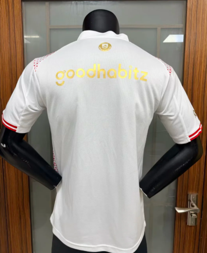 Player Version 2025-2026 PSV Eindhoven Efteling Special Edition Soccer Jersey Football Shirt