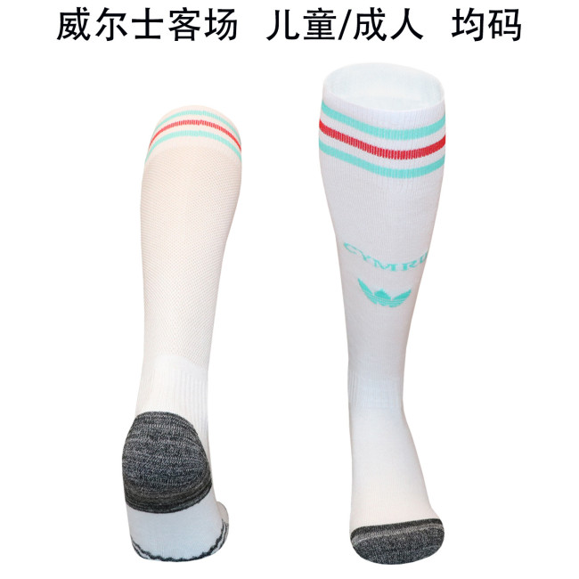 Youth/Adult 2026 World Cup Wales Away White Soccer Socks Football Socks