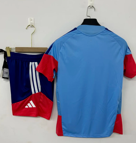 Adult Uniform 2026 Japan Blue Soccer Training Jersey and Shorts Football Kits