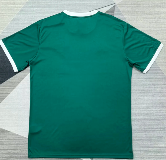 Fan Version 2026-2027 AD Oasis Green/White Soccer Jersey Football Shirt