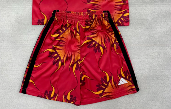 Fan Version 2026 Japan Red Goalkeeper Soccer Shorts Football Shorts