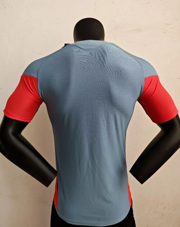 Player Version 2026 Japan Grey/Red Soccer Training Jersey Football Shirt