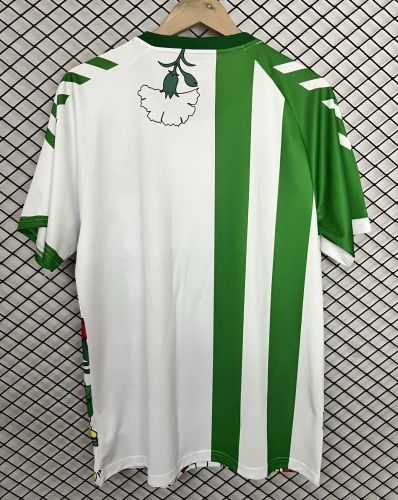 Fan Version 2025-2026 Real Betis Special Edition Soccer Jersey Football Shirt