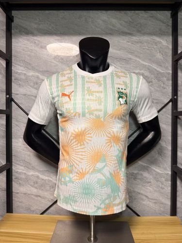 Player Version 2026 Ivory Coast Away Football Shirt Côte d'Ivoire Soccer Jersey