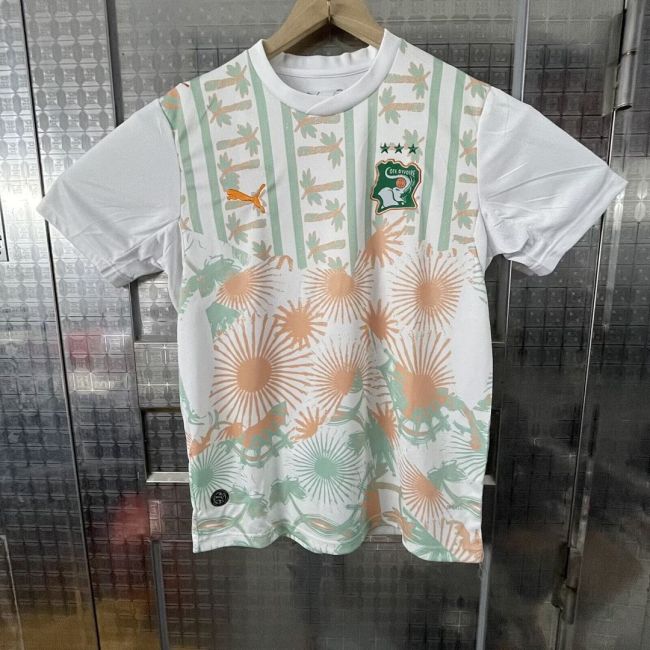 Fan Version 2026 Ivory Coast Away Football Shirt Côte d'Ivoire Soccer Jersey