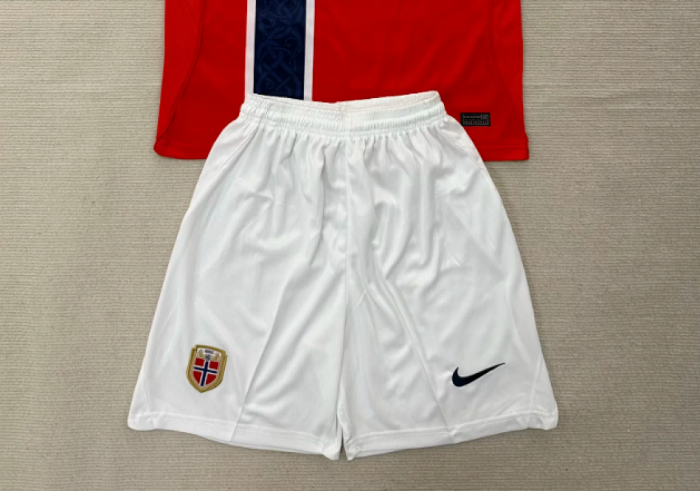 Fan Version 2026 Norway Home Soccer Shorts Football Shorts