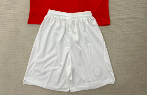 Fan Version 2026 Norway Home Soccer Shorts Football Shorts