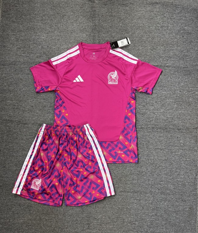 Adult Uniform 2026 Mexico Pink Goalkeeper Soccer Jersey Shorts Men's Football Kit