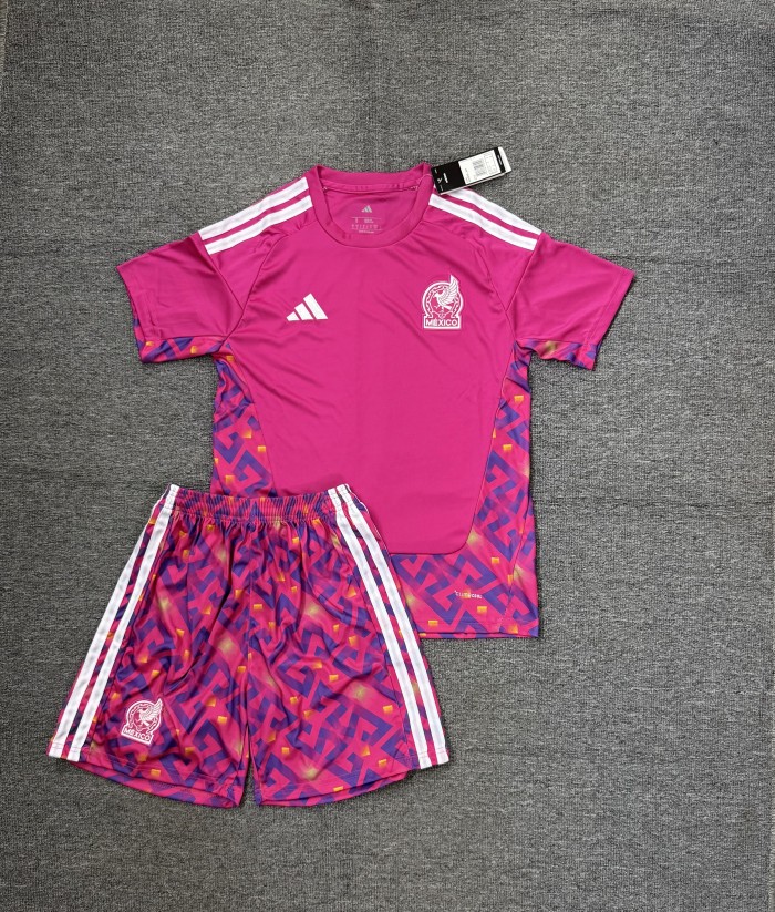 Adult Uniform 2026 Mexico Pink Goalkeeper Soccer Jersey Shorts Men's Football Kit