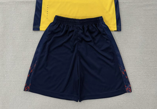 Fan Version Ecuador 2026 Home Soccer Shorts Football Shorts