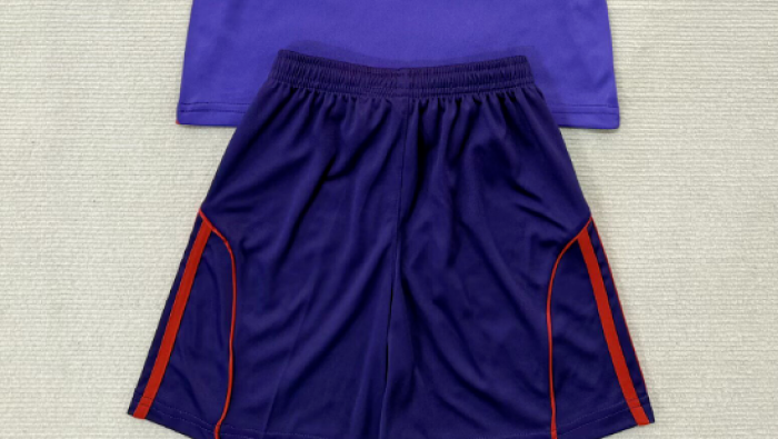 Fan Version Ecuador 2026 Third Away Purple Soccer Shorts Football Shorts