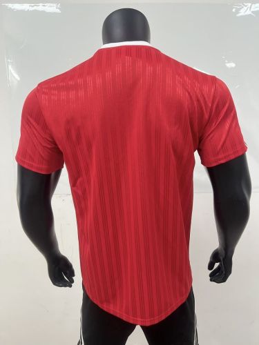 Fan Version 2025-2026 Liverpool AD Red Soccer Jersey Football Shirt