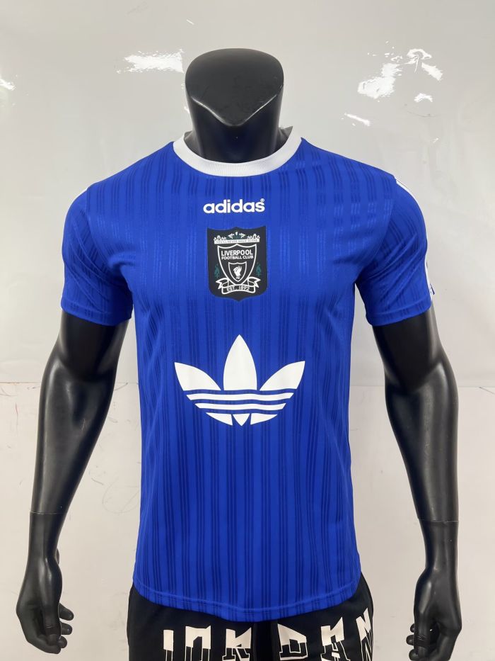Fan Version 2025-2026 Liverpool AD Blue Soccer Jersey Football Shirt