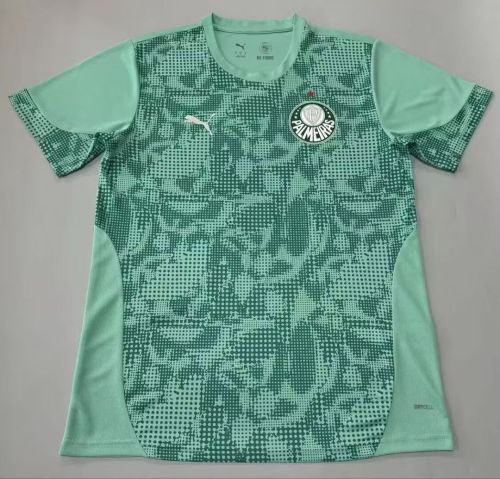 Fan Version 2026-2027 Palmeiras Green Goalkeeper Soccer Jersey Football Shirt