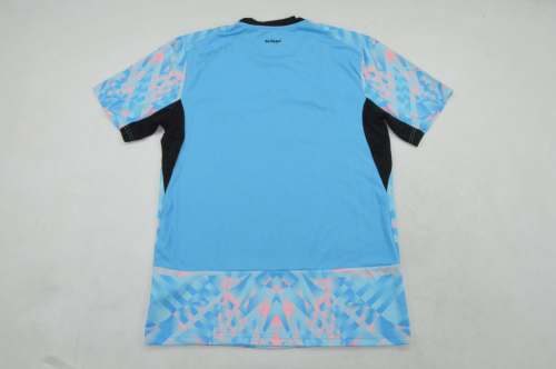 Fans Version Switzerland 2026 Blue Goalkeeper Soccer Jersey Swiss Football Shirt