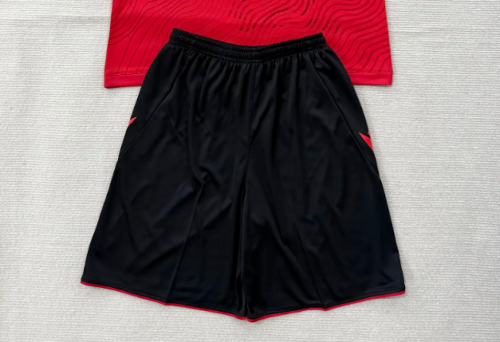 Fan Version 2026 Albania Home Soccer Shorts Football Shorts