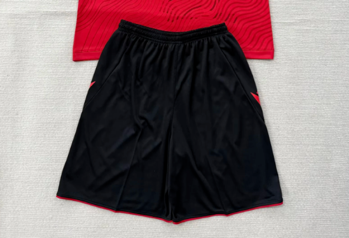 Fan Version 2026 Albania Home Soccer Shorts Football Shorts