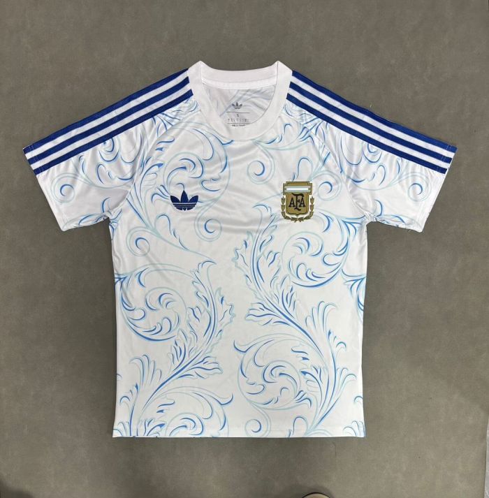 Fan Version 2026 Argentina Originals All Over Print T-Shirt Soccer Jersey