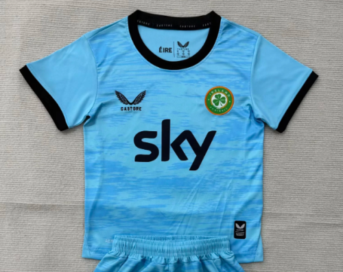 Fan Version 2026 Ireland Blue Goalkeeper Soccer Jersey Football Shirt