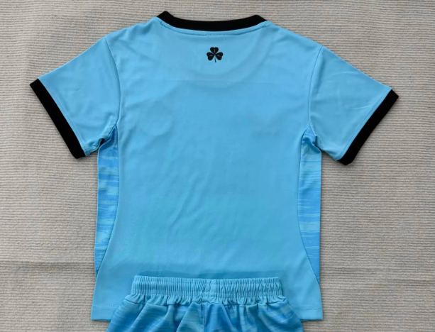 Fan Version 2026 Ireland Blue Goalkeeper Soccer Jersey Football Shirt
