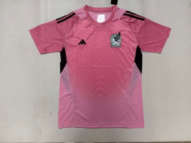 Fan Version 2026 Mexico Pink Goalkeeper Soccer Jersey Football Shirt
