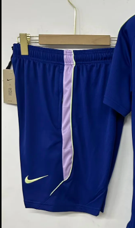 Fan Version 2026 South Korea Dark Blue/Purple Soccer Training Shorts Football Shorts