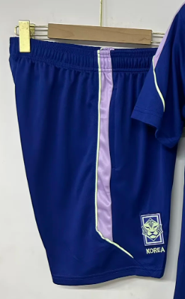 Fan Version 2026 South Korea Dark Blue/Purple Soccer Training Shorts Football Shorts