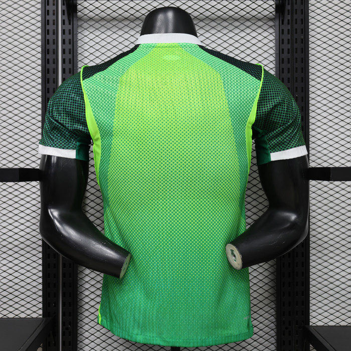Player Version 2026 Nigeria Home Soccer Jersey Football Shirt