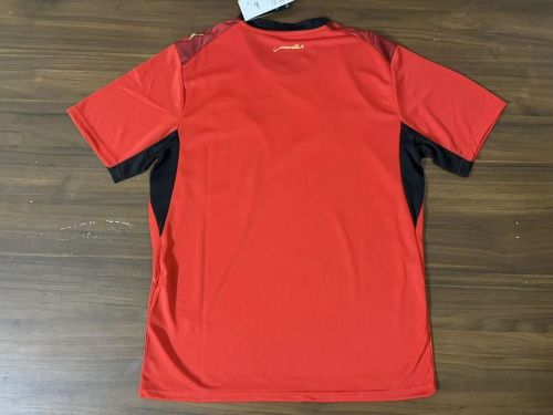 Fan Version 2026 Egypt Home Soccer Jersey Football Shirt