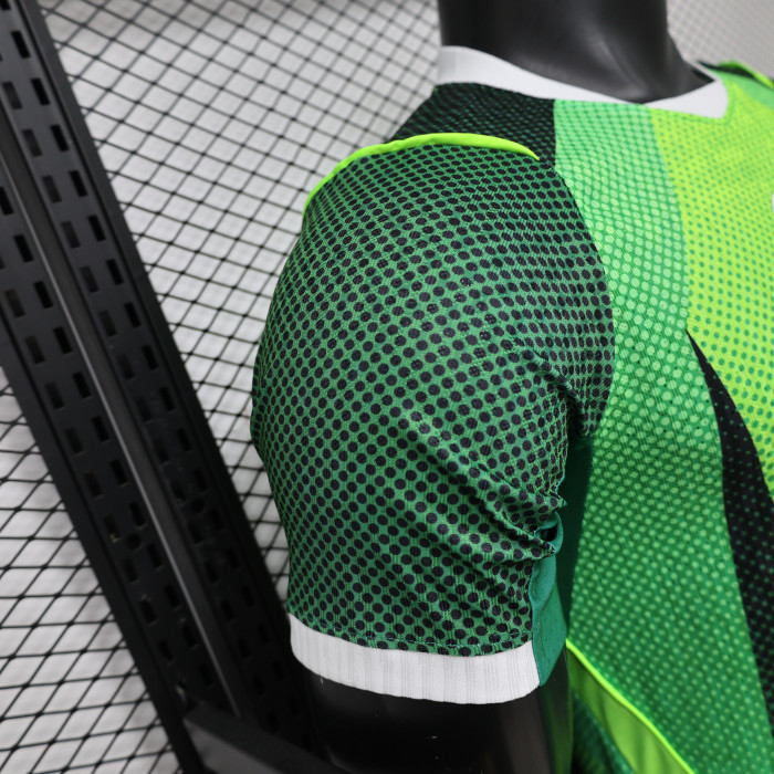Player Version 2026 Nigeria Home Soccer Jersey Football Shirt