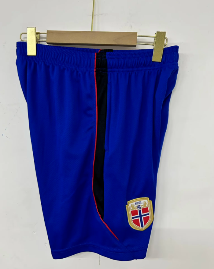 Fan Version 2026 Norway Blue Soccer Training Shorts Football Shorts