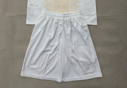 Fan Version 2026 Morocco Away Soccer Shorts Football Shorts