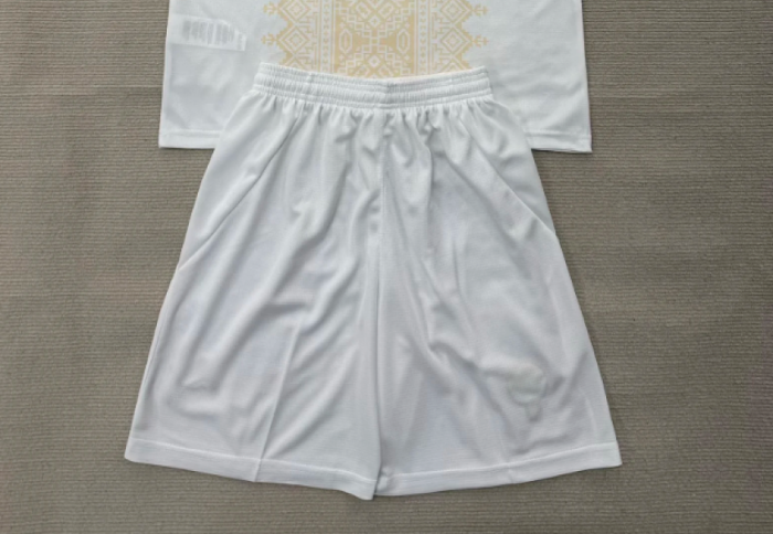 Fan Version 2026 Morocco Away Soccer Shorts Football Shorts