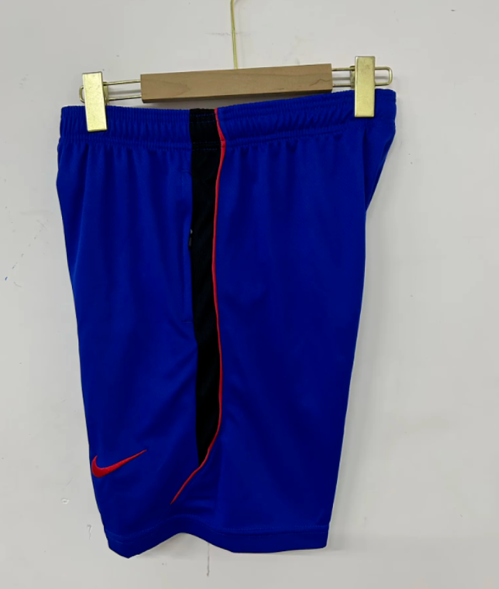 Fan Version 2026 Norway Blue Soccer Training Shorts Football Shorts