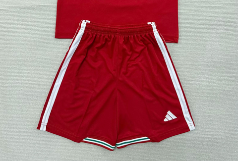 Fan Version 2026 Wales Home Soccer Shorts Football Shorts