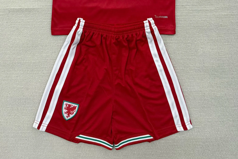 Fan Version 2026 Wales Home Soccer Shorts Football Shorts