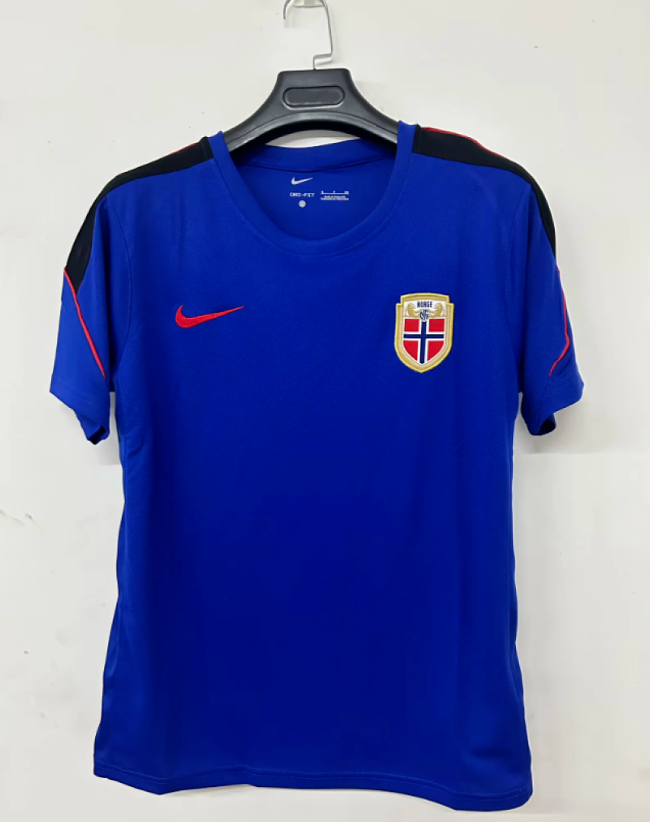 Fan Version 2026 Norway Blue Soccer Training Jersey Football Shirt