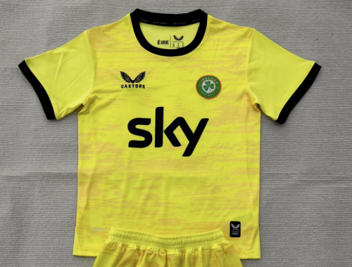 Fan Version 2026 Ireland Yellow Goalkeeper Soccer Jersey Football Shirt