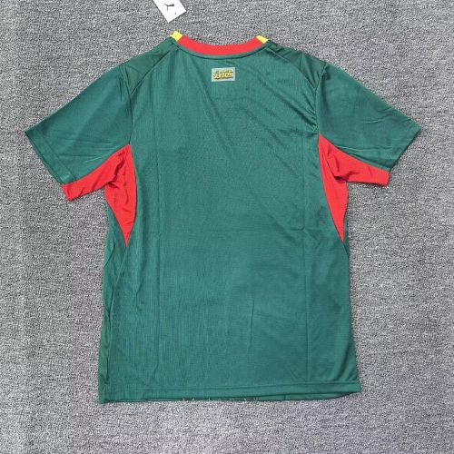 Fan Version 2026 Senegal Away Green Soccer Jersey Football Shirt