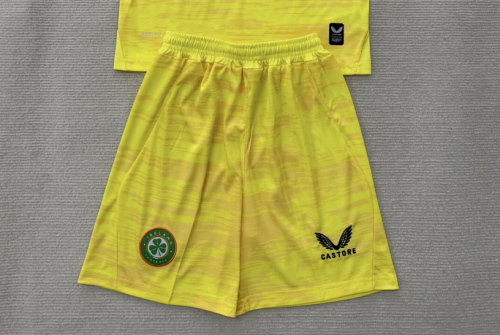 Fan Version 2026 Ireland Yellow Goalkeeper Soccer Shorts Football Shorts