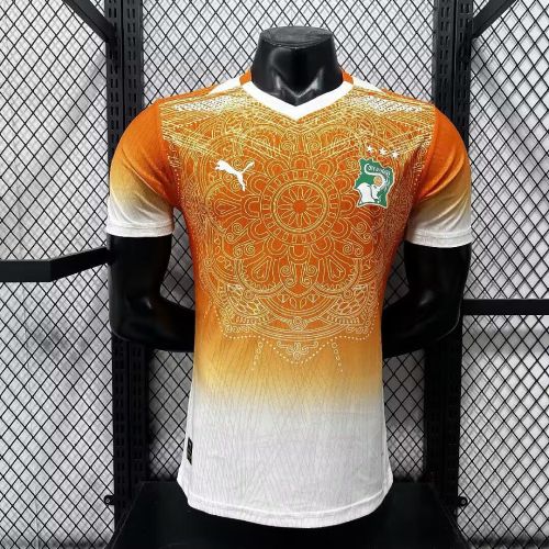 Player Version 2026 Ivory Coast Orange Football Shirt Côte d'Ivoire Soccer Jersey