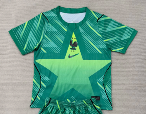Fan Version 2026 France Green Goalkeeper Soccer Jersey Football Shirt