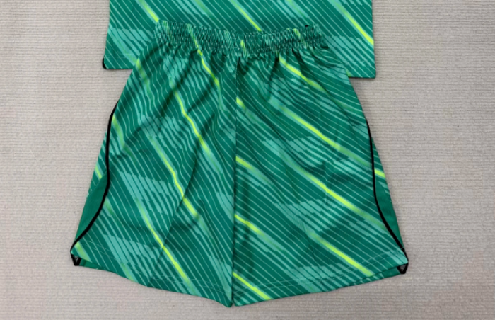 Fan Version 2026-2027 France Green Goalkeeper Soccer Shorts Football Shorts