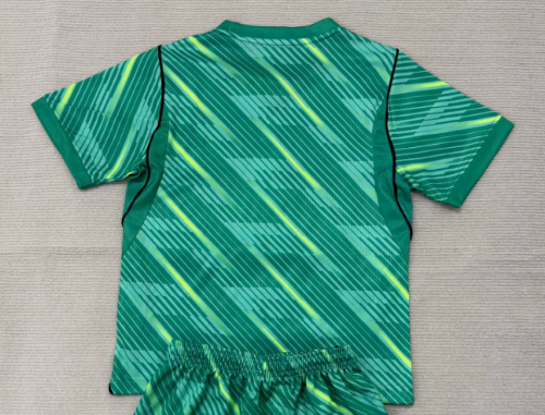 Fan Version 2026 France Green Goalkeeper Soccer Jersey Football Shirt