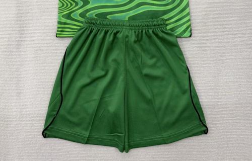 Fan Version 2026 Brazil Green Goalkeeper Soccer Shorts Brasil Football Shorts
